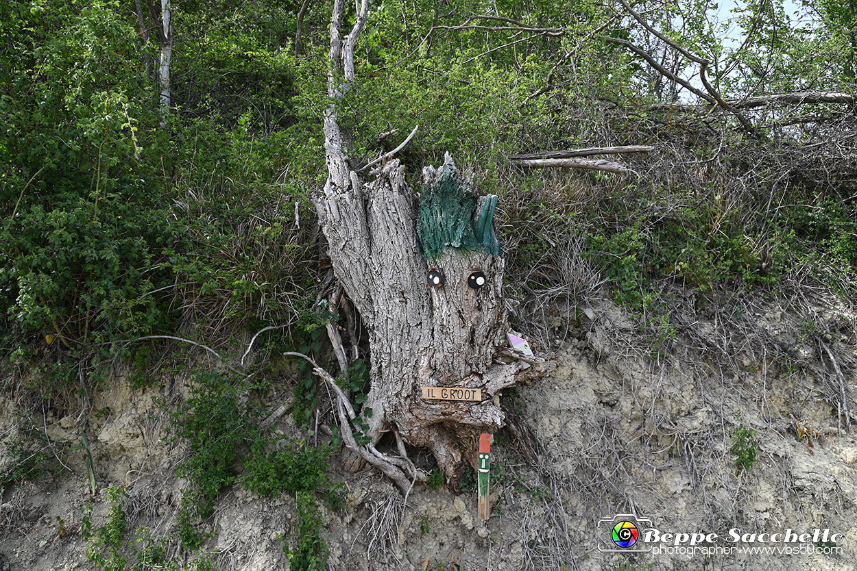 VBS_3299 - Mango (Cuneo) - Gnomovia.jpg